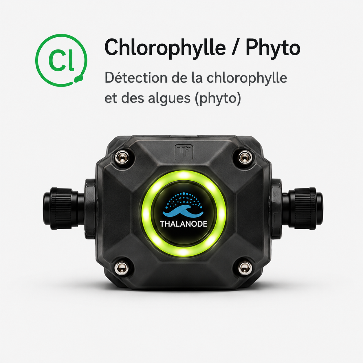 Chlorophylle / Phyto